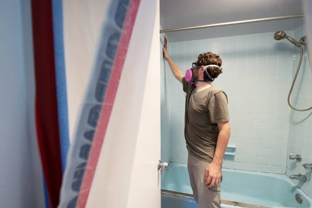 Best Mold Remediation for Healthcare Facilities  in Pender, NE