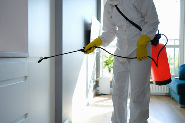 Best Mold Odor Removal Services  in Pender, NE