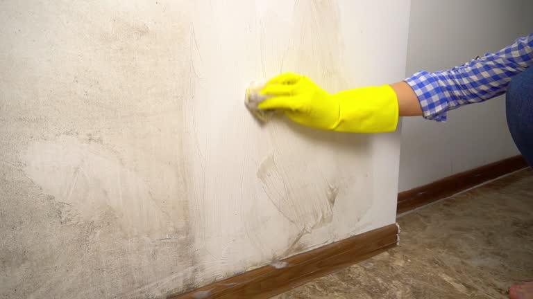 Best Dehumidification Services  in Pender, NE