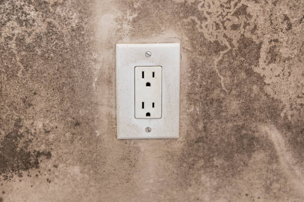 Mold Remediation for Vacation Homes in Pender, NE